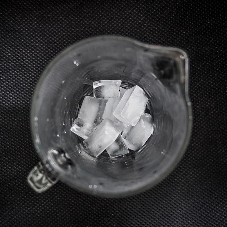 Water Filters & Ice Makers: The Untapped Secret to Crystal-Clear Cubes?