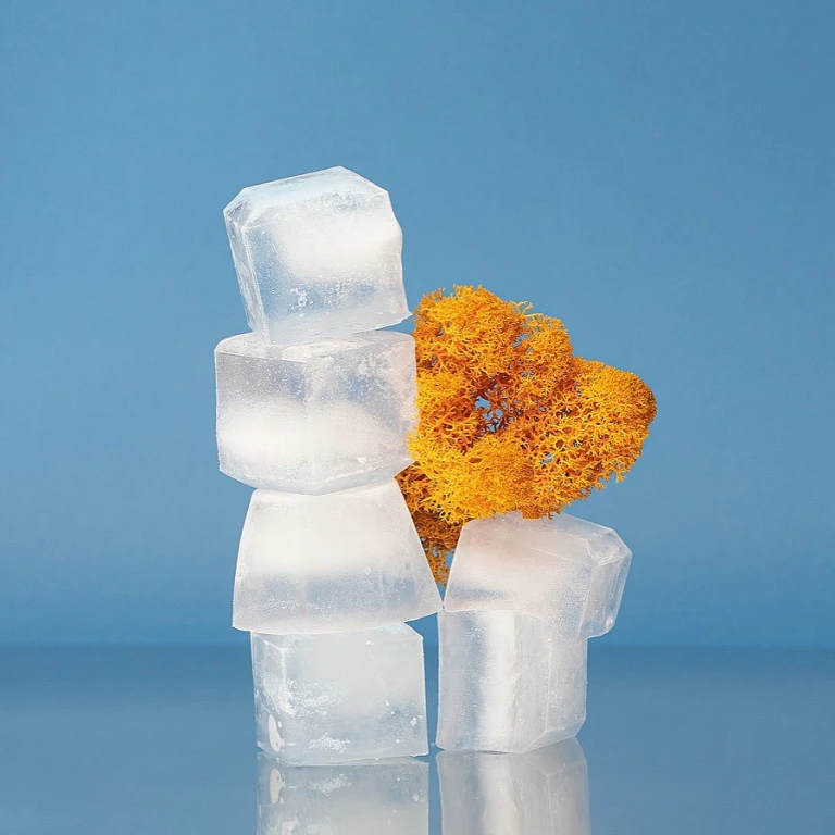 Chill Innovation: Unlocking the Convenience of Undercounter Ice Makers